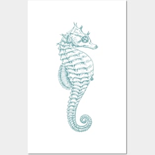 Tropical Seahorse, Sea Animal, Ocean Animal Posters and Art